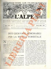 Observer - Due giornate