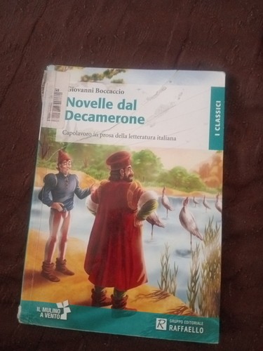 Novelle del decamerone - novelle,