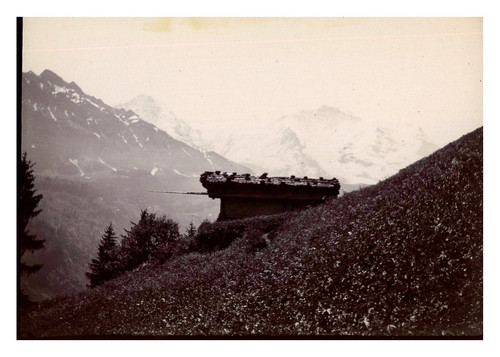 Suisse jungfrau from isenfluh - suisse,,