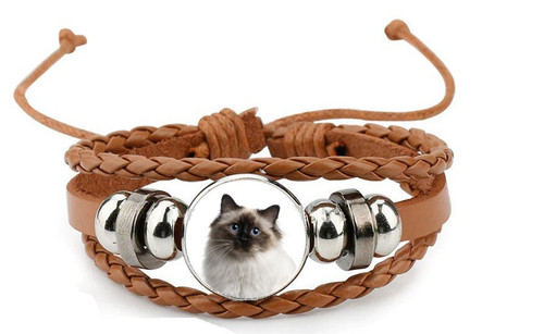 Birman cat pet - cat, leather