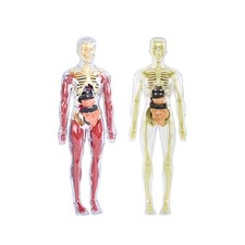 Kit di 19 modelli di corpo