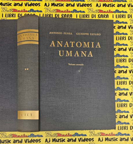 Book libro anatomia - book,
