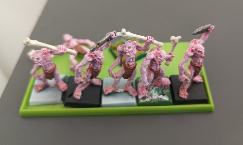 Warhammer vampire counts - ,