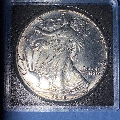 Oncia 1988 usa liberty - oncia,