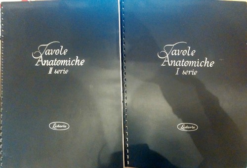 Tavole anatomiche vol - tavole,