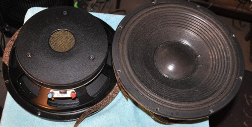 Subwoofer woofer professionale