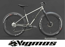 10,9 kg Titan MTB FATBIKE bicicletta titanio neve sabbia mountain bike Rohloff inverno