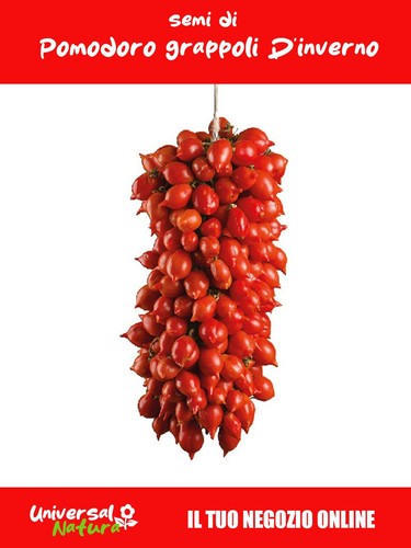 Semi di - 50, 🍅