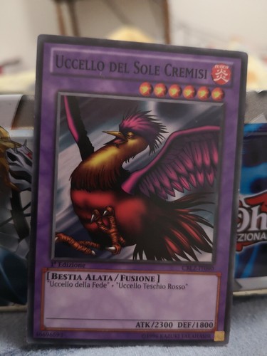 Carta uccello del - carta,