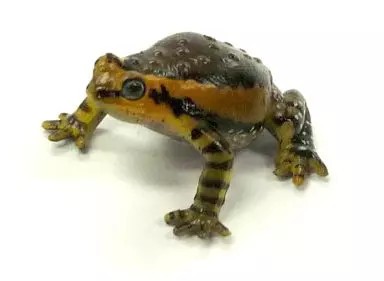 Tazza ceramica uovo alieno
