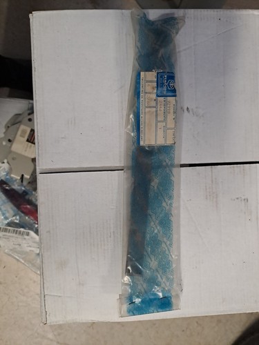 Fascia supporto bloccaggio - fascia,