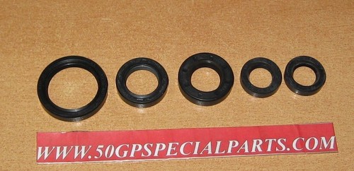 Gilera 300 bicilindrica - gilera,