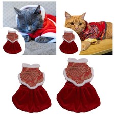 Costume per cani di Capodanno