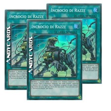 3x INCROCIO DI RAZZE • (Cross Breed) • Super R • MP19 IT124 • YUGIOH! ANDYCARDS