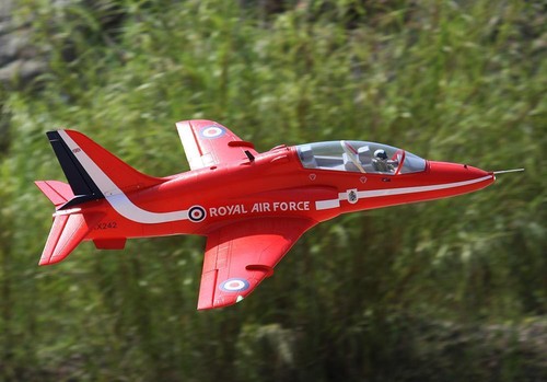 Freewing bae hawk - bae,