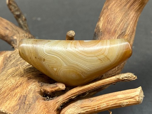 Perlina corno linee baco - , da