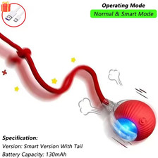 Palla Automatica Interattiva