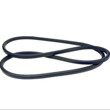 Cinghia Trasmissione Ponte