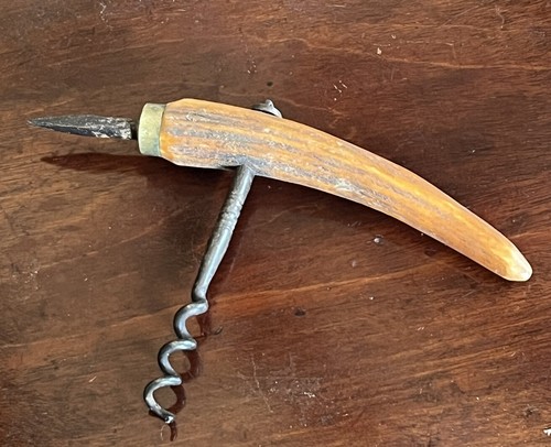 Antique boars tooth tusk - antique, tooth/tusk