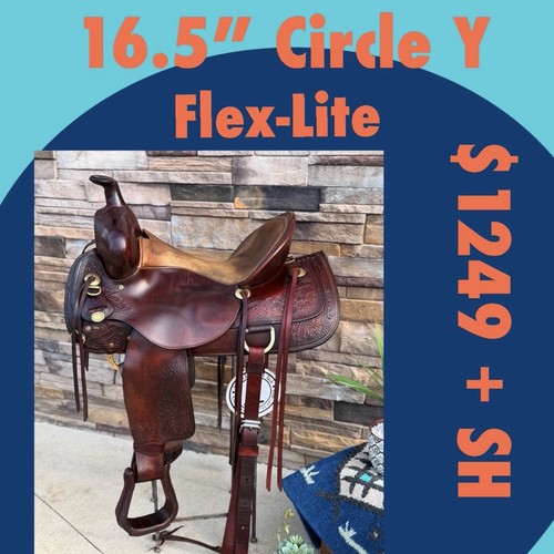 Circle y flex - circle,