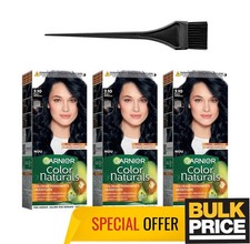 Garnier Color Naturals 2.10