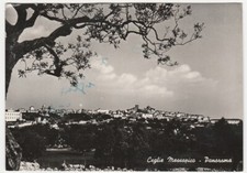CEGLIE MESSAPICA - BRINDISI - PANORAMA - VIAGG. 1957 -15638-