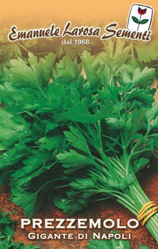 500 semi seeds prezzemolo - 500, semi/seeds