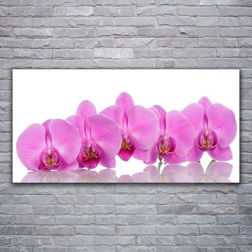 120x60 stampa tela - su,