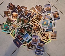 Disney-Pixar Esselunga - lotto