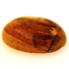 Minerali E Pietre Preziose