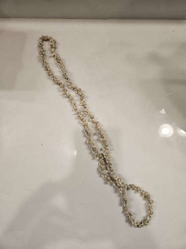 Collana conchiglia naturale