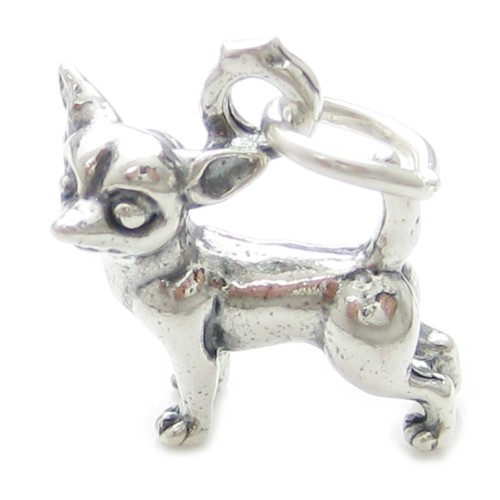 Ciondolo argento sterling - ciondolo, in