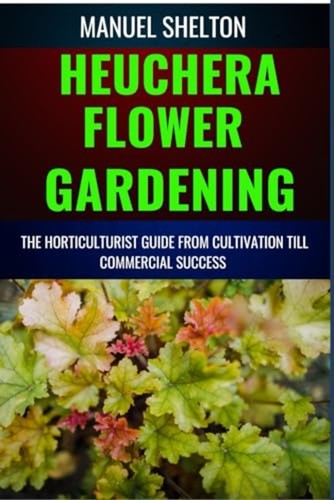 Heuchera flower gardening - heuchera,