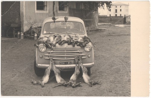 Foto vintage 1953 caccia - vintage, alla