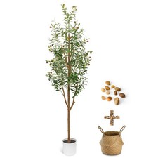 Ulivo Artificiale 6FT - Ulivi
