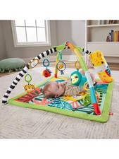 Fisher Price Palestra