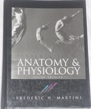 Fundamentals of Anatomy and