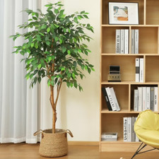 Albero di Ficus Artificiale