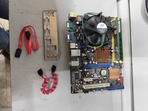 Scheda madre asus p5kpl se - madre,