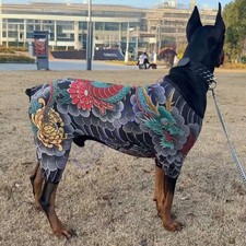 Camicia per cani quattro