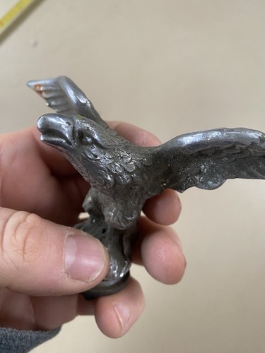 Stemma falco aquila - falco,