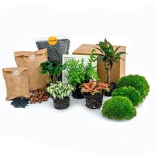 Set terrario per piante Jungle