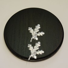 Piastra di Cinghiale Scudo Trofeo Rotondo Scuro Af 17 CM Con 2 X Foglie Quercia