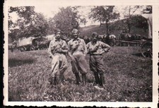Vera foto militari regio - foto,