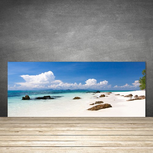 Splashback paraschizzi - splashback,