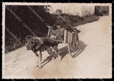 Pavia Gropello Cairoli Cascina