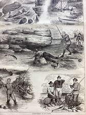 1877 STAMPA INCISIONE PESCA