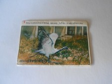 FIGURINA SAFARI N. 45 - ED