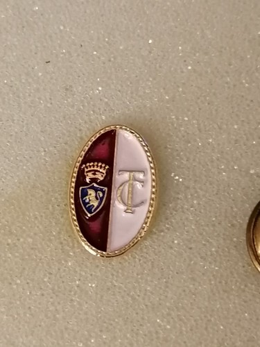 Distintivo pin badge spilla - distintivo,