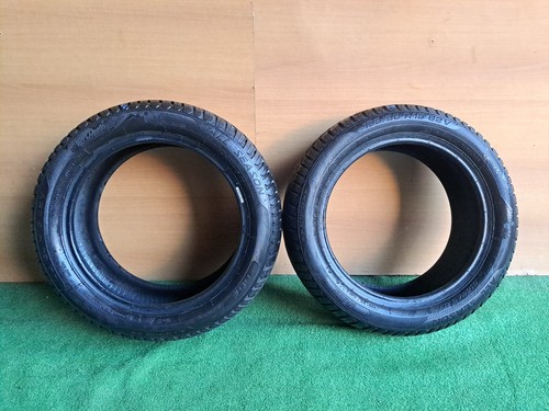 Coppia pneumatici riken all - riken,